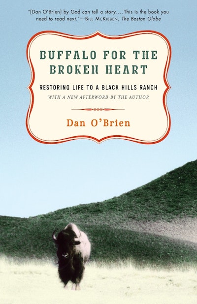 Buffalo For The Broken Heart