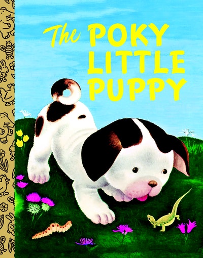 Poky Little Puppy Board Book