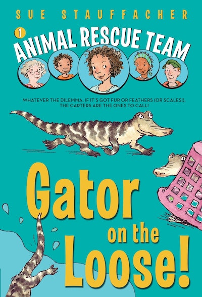 Animal Rescue Team: Hide and Seek