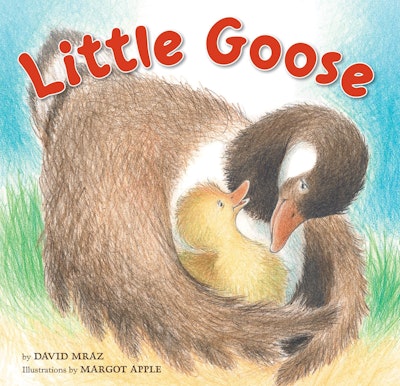 Little Goose