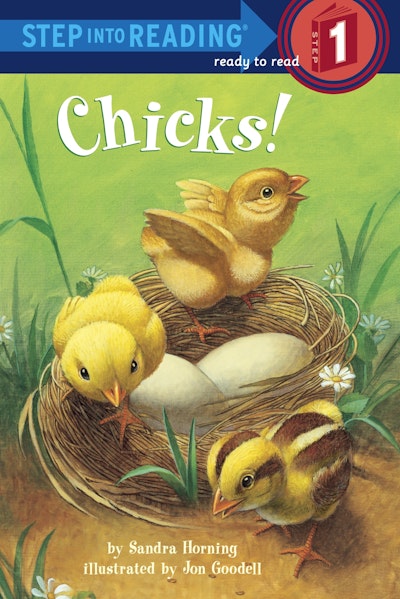 Chicks! Read & Listen Edition