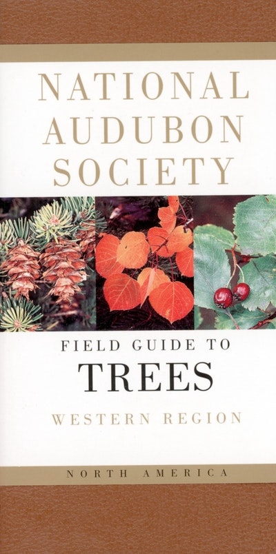 Field Guide To North American Trees