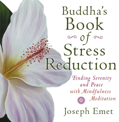 Buddha's Book of Stress Reduction