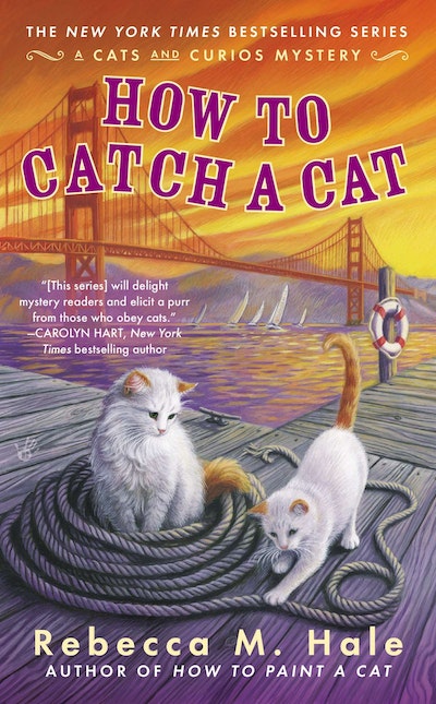 How To Catch A Cat
