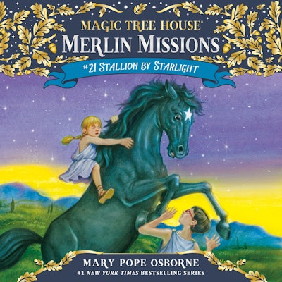 Stallion by Starlight