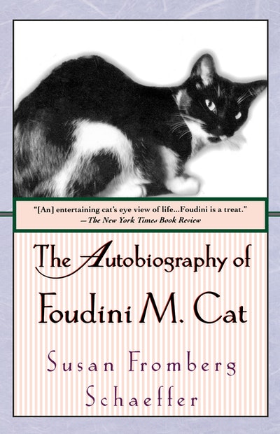 The Autobiography Of Foudini M. Cat