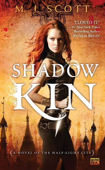 Shadow Kin: Half-Light City Book 1