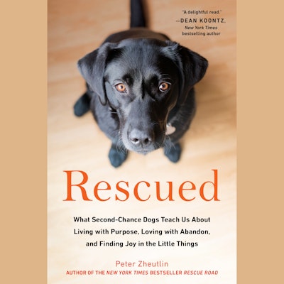 Rescued