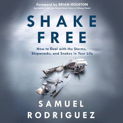 Shake Free