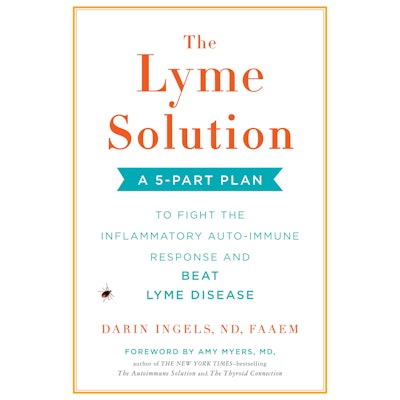 The Lyme Solution