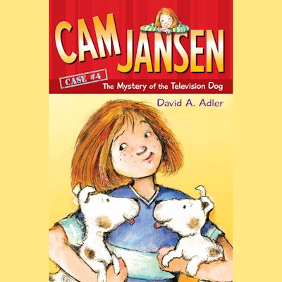 Cam Jansen: Cam Jansen and the Sports Day Mysteries