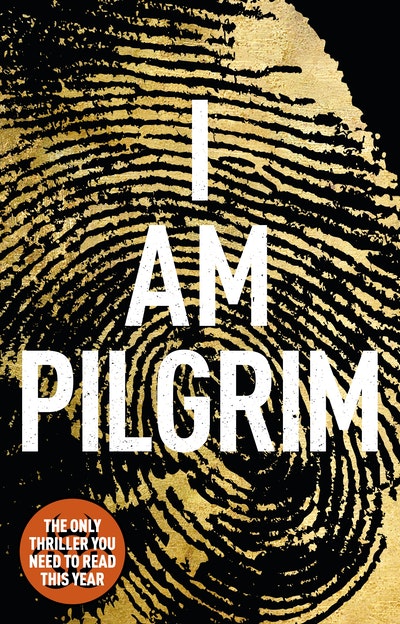 i am pilgrim hardback