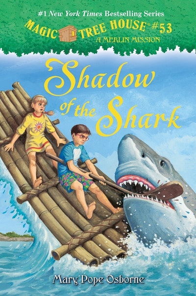 Shadow Of The Shark
