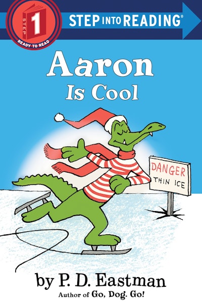 Aaron is Cool