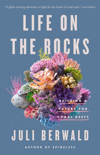 Life on the Rocks