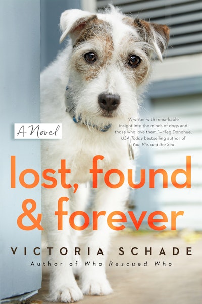 Lost, Found, and Forever