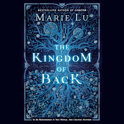 The Kingdom of Back