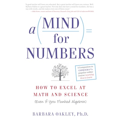 A Mind For Numbers