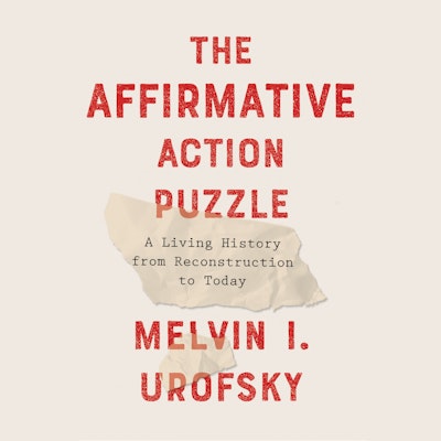 The Affirmative Action Puzzle