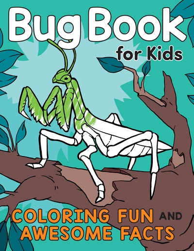 Bug Book for Kids