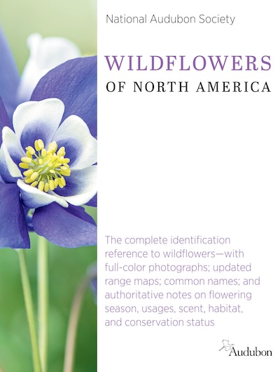 Fieldstone Essential Field Guide to Wildflowers of Eastern North America