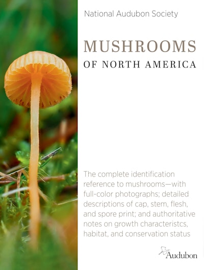 Fieldstone Essential Field Guide to Mushrooms of North America