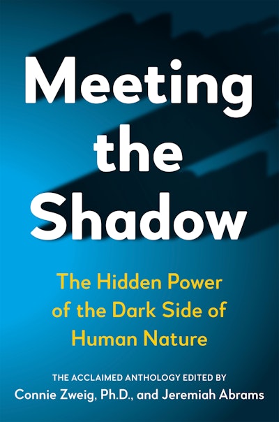 Meeting the Shadow