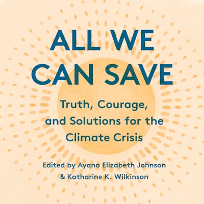All We Can Save