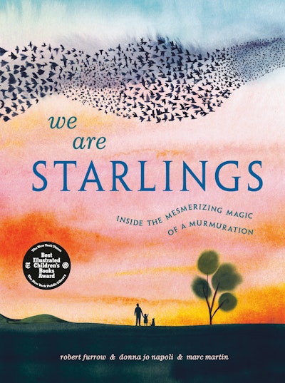 We Are Starlings