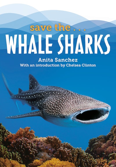 Save the...Whale Sharks