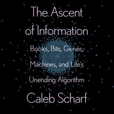 The Ascent of Information