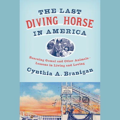 The Last Diving Horse in America