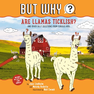 Are Llamas Ticklish? #1
