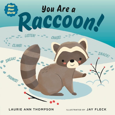 You Are a Raccoon!