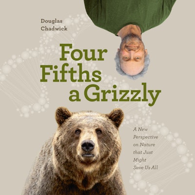 Four Fifths a Grizzly