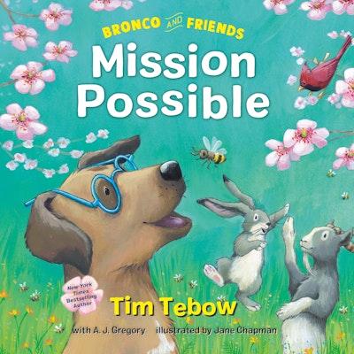Bronco and Friends: Mission Possible