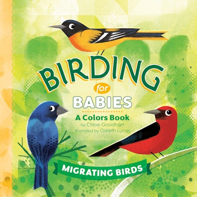 Birding for Babies: Migrating Birds