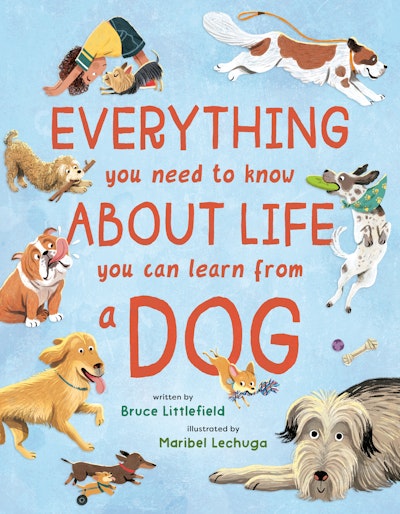 Everything You Need to Know About Life You Can Learn from a Dog