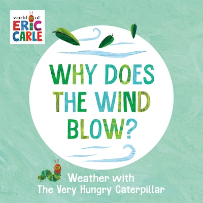 Why Does the Wind Blow?