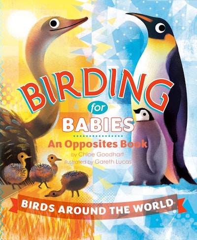 Birding for Babies: Birds Around the World