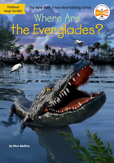 Where Are the Everglades?