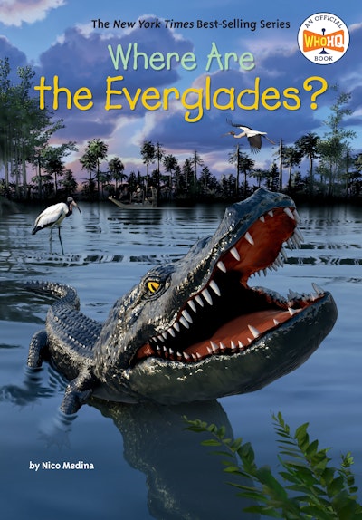 Where Are the Everglades?