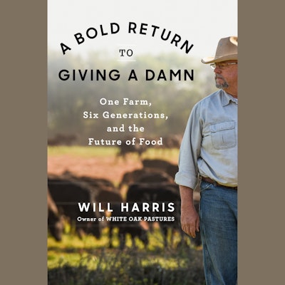 A Bold Return to Giving a Damn