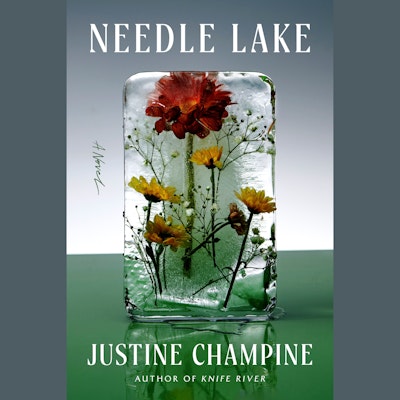 Needle Lake