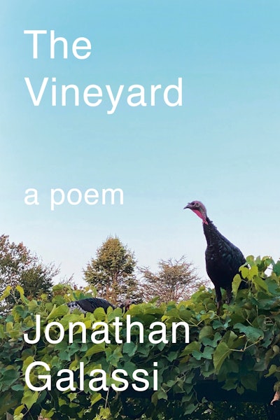 The Vineyard