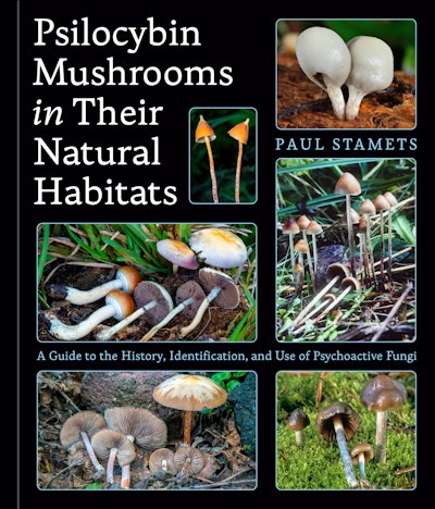 Psilocybin Mushrooms in Their Natural Habitats