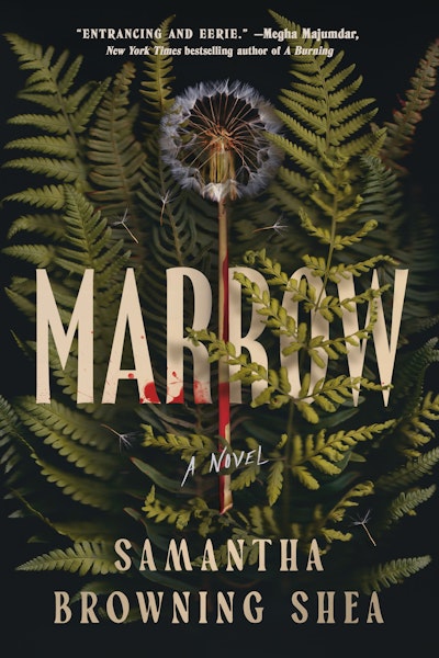 Marrow