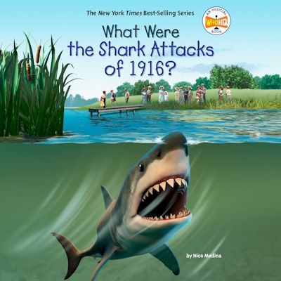 What Were the Shark Attacks of 1916?