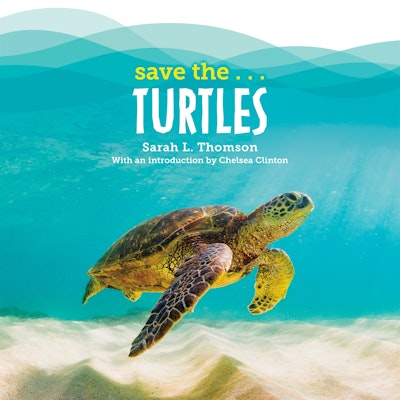 Save the...Turtles