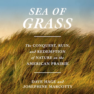 Sea of Grass